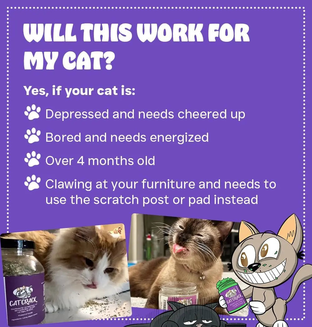 Premium Natural Catnip Blend for Cats Training, Toys & Playtime Stimulation