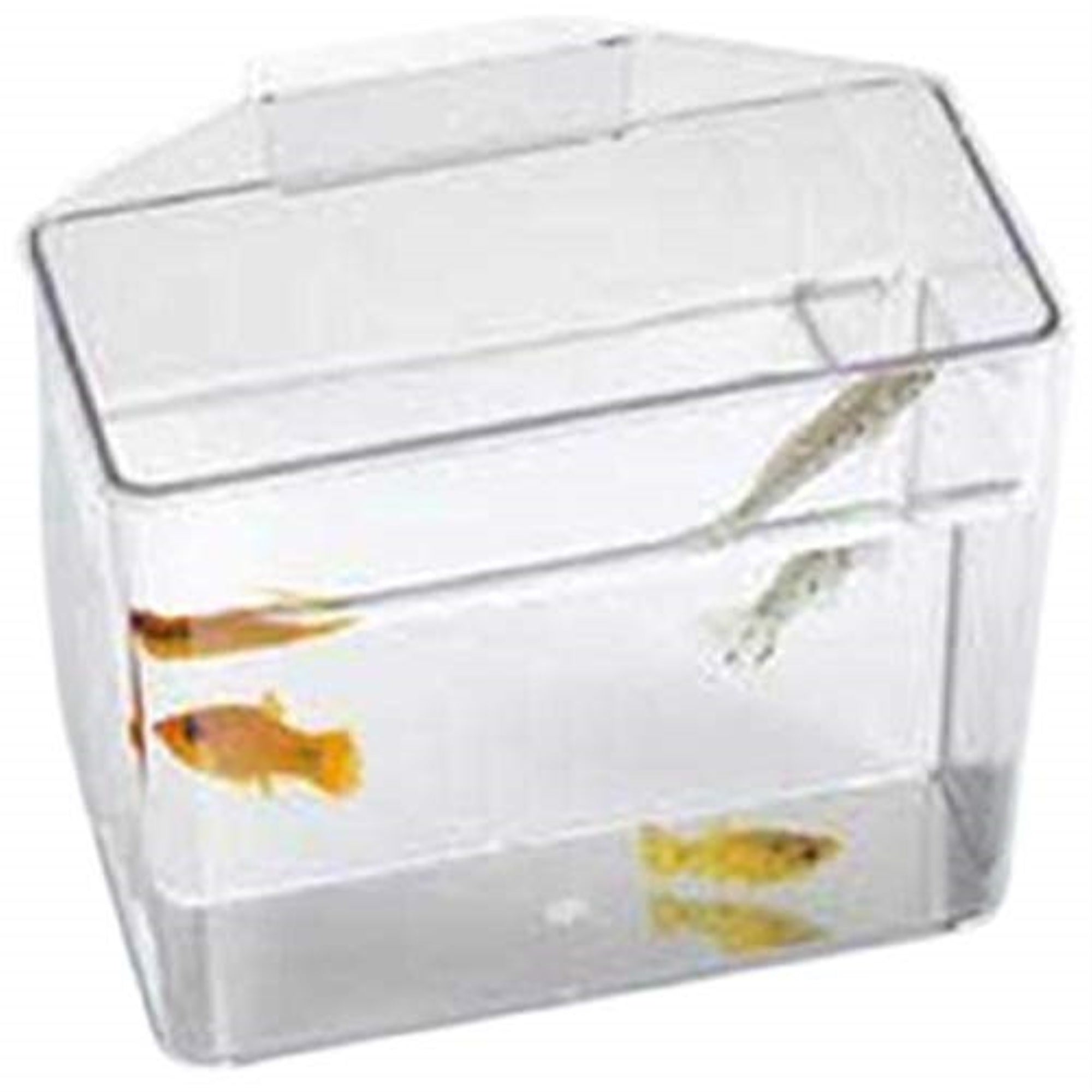 Specimen Container/Convalescent Home - Heavy Duty - Small