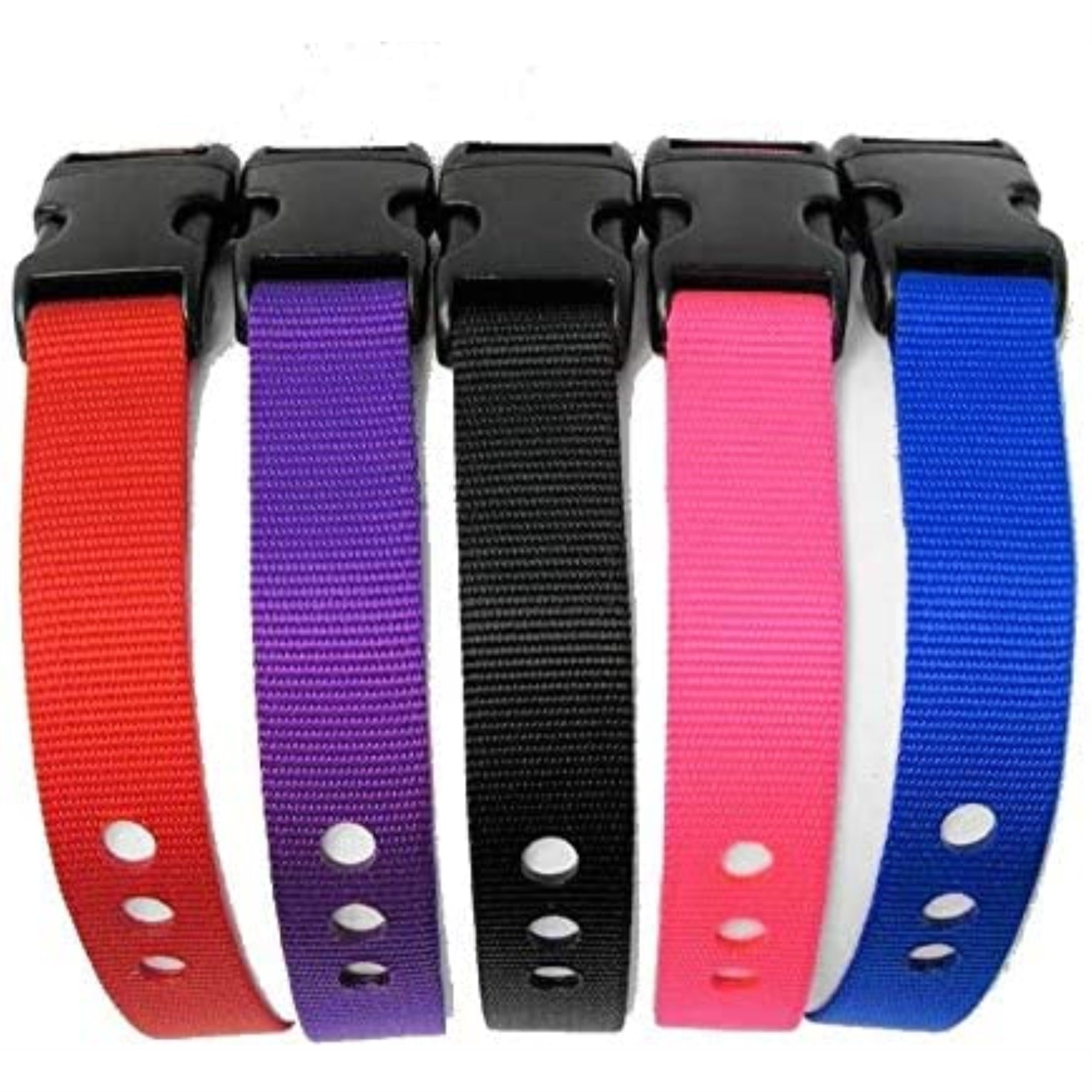 1'' Replacement Strap - Blue