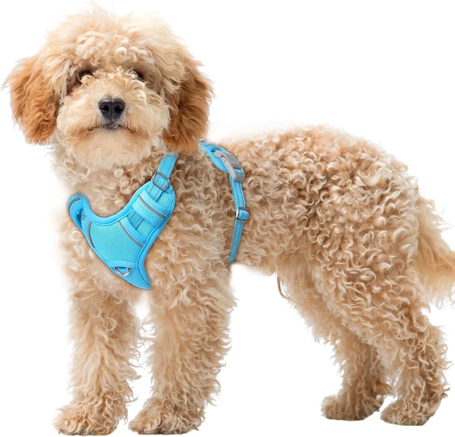 Reflective No-Pull Dog Harness, Adjustable Comfort for Training & Walking