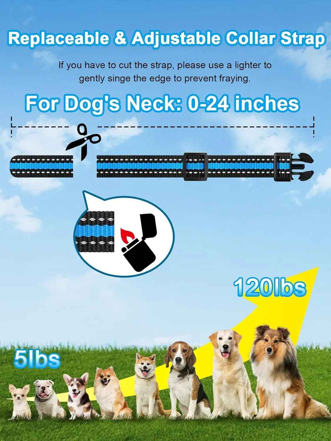 Waterproof Dog Training Collar, 3300ft, 2 Dogs, 2-Dog