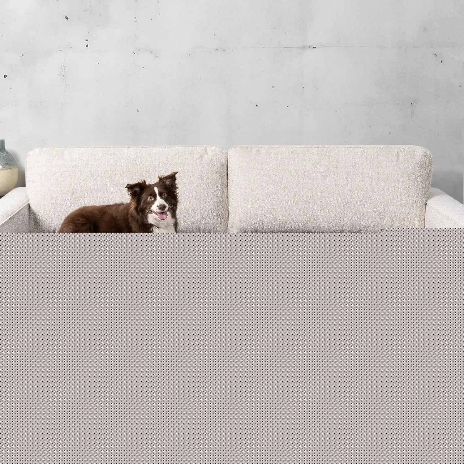 Waterproof Pet Couch Cover Reversible Furniture Protector for Dogs & Cats