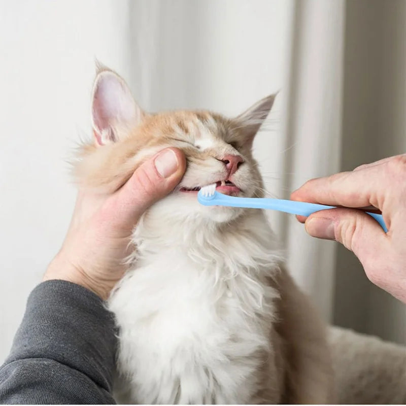 Dog Toothbrush Dog Teeth Cleaning Small Head Brush for Dogs Teeth Mouth Cleaning Tools Pet Grooming Cat Toothbrush Pet Products