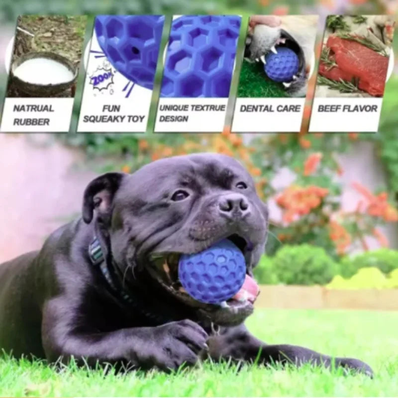 New Dog Toys Bite Resistant Interactive Throwing Sound Honeycomb Balls Natural Rubber Teething Clean Teeth Toys Pet Products