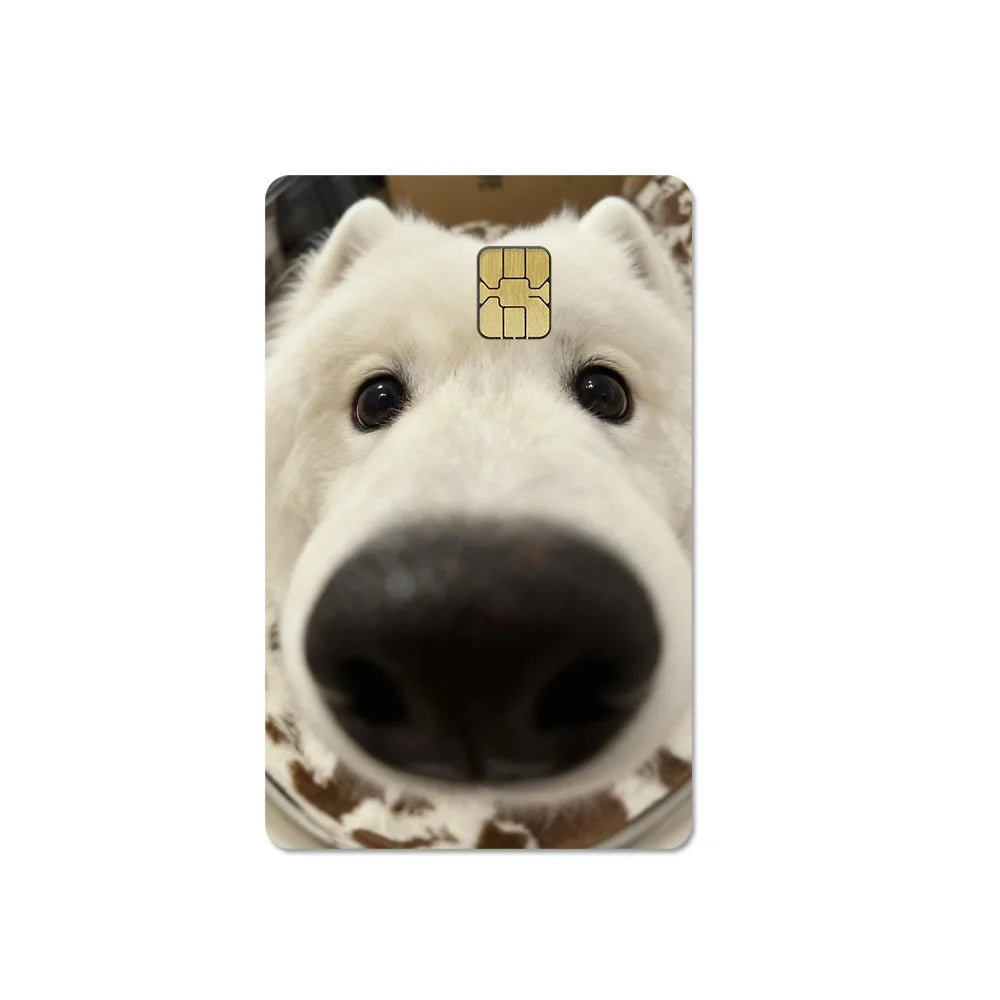 Cute Pet Puppy Kitten Lamb Credit Debit Card Sticker Bread Dog Bus Pass DIY Waterproof Small Chip Film Sticker Decoration Gift