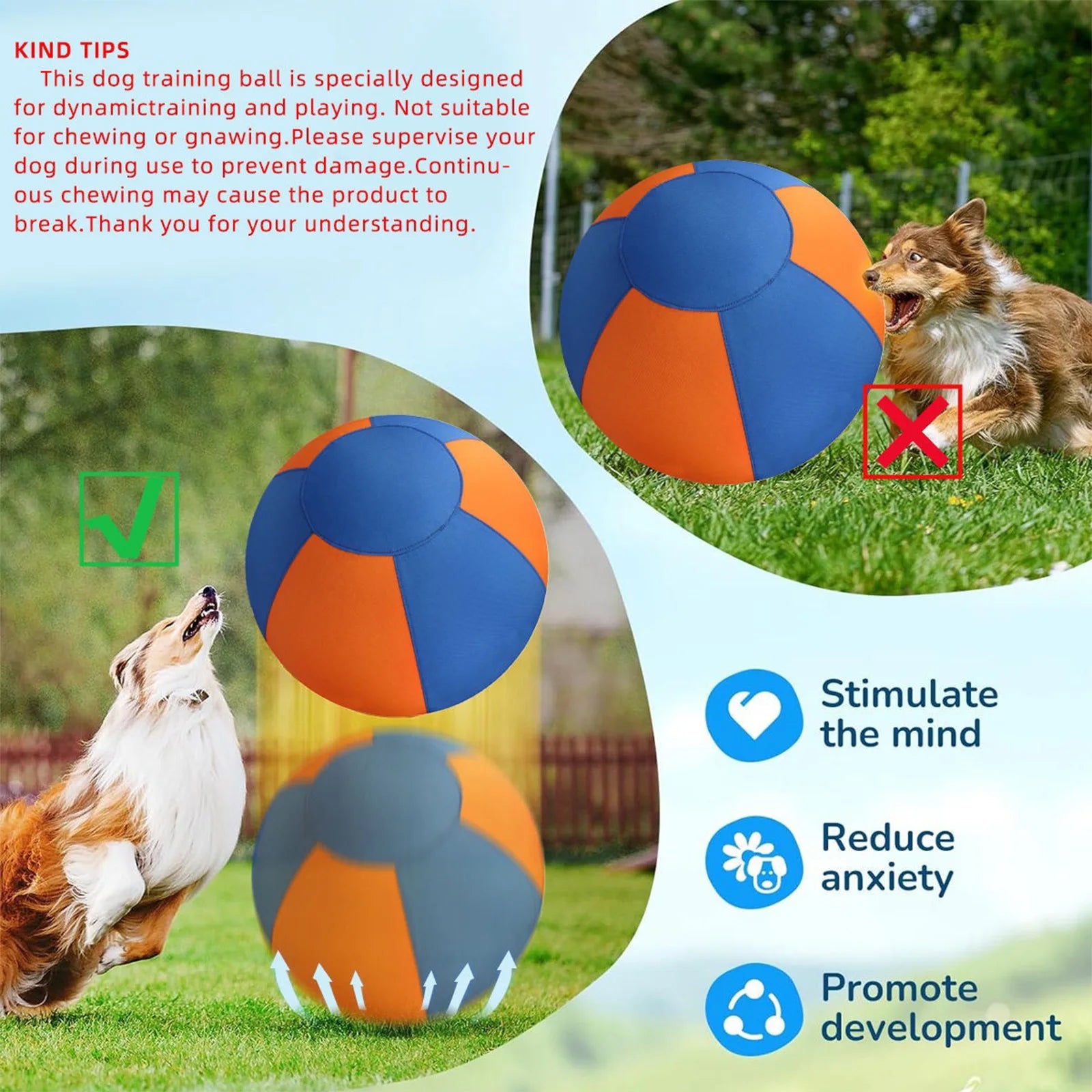 Herding Ball for Dogs with Protective Cover & Pump Dog Training Toy To Keep Them Busy Outdoor Training & Backyard Play