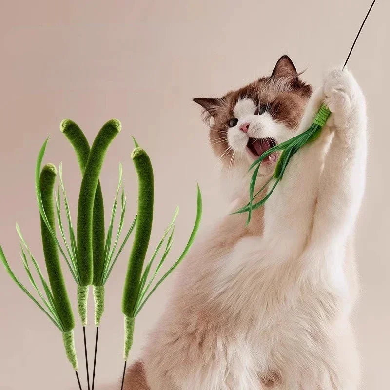 Cat and Dog Grass Chew Toy Teaser Stick Natural Bite Resistant Dental Teeth Cleaning Self Soothing Play Durable Pet Toys Cat Tea