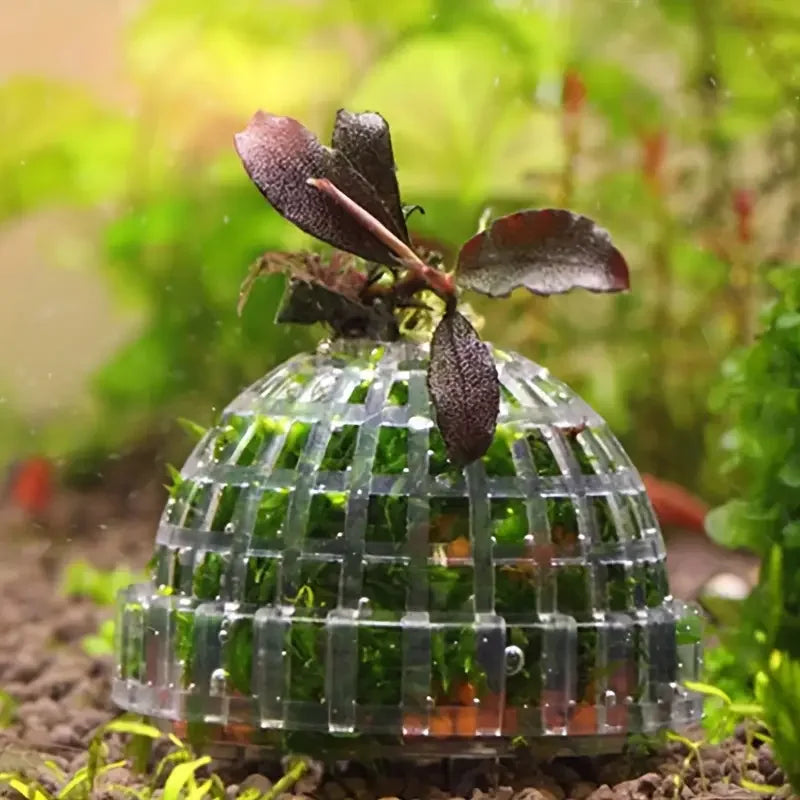 Aquarium Moss Ball Filter Aquatic Pet Supplies Decorations For Shrimps Fish Tank Pet Products Fish Tank Decor Plastic