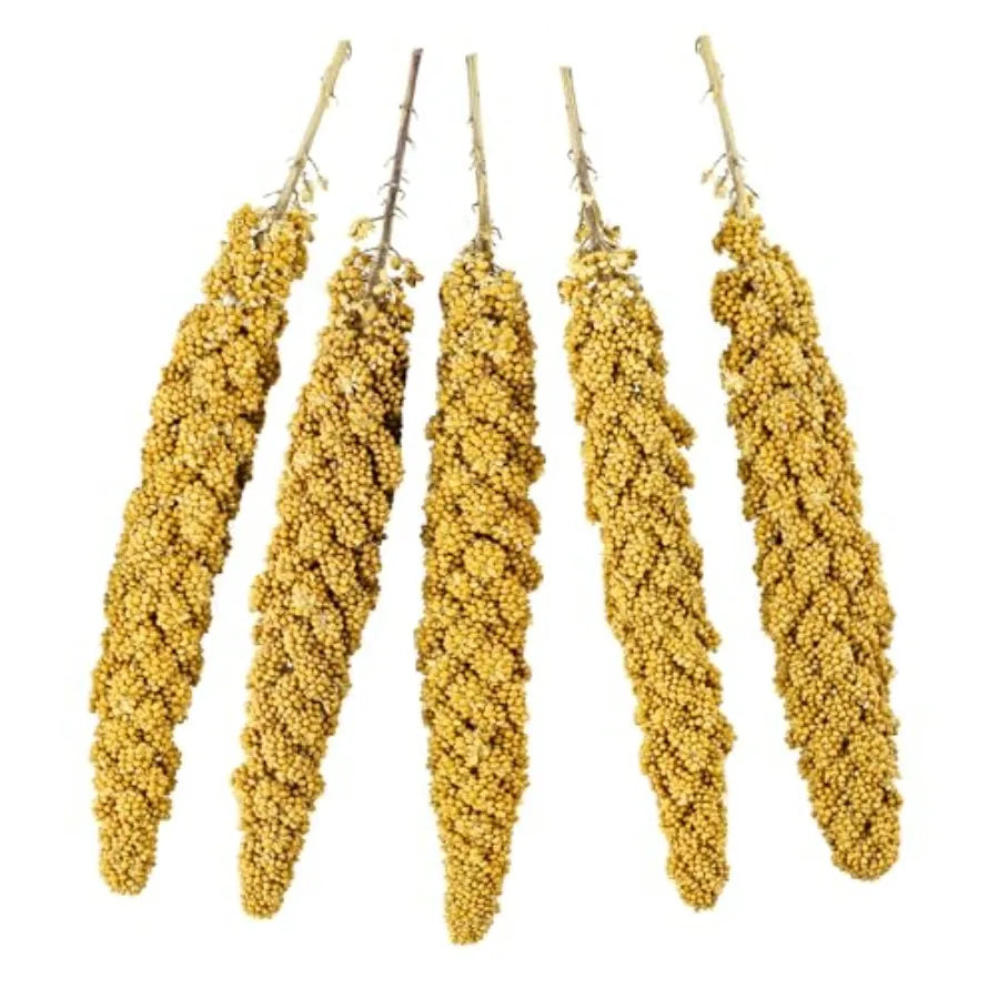 Bird Spray Millet for Parakeets Finches Canaries Budgies Small Birds, Sun-Dried Vacuum-Sealed Freshness, Yellow Brown Color