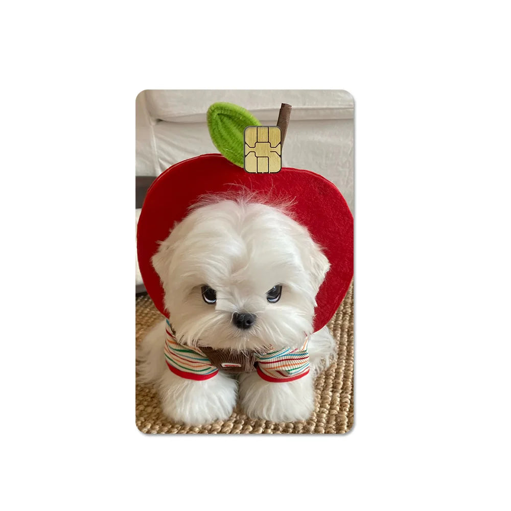 Cute Pet Puppy Kitten Lamb Credit Debit Card Sticker Bread Dog Bus Pass DIY Waterproof Small Chip Film Sticker Decoration Gift