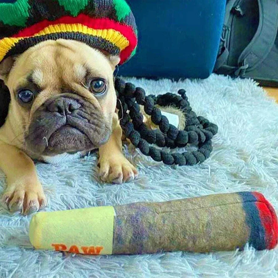 Teeth Creative Chew Funny Cigar Plush Squeaky Interactive Dog Toys Design Squeaky Pet Toys Grinding  Toy for Small Medium Dog