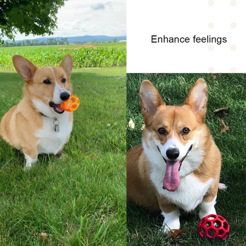 Geometric Pet Interactive Chew Ball With Bell For Cat Dog Training Playing Teeth Cleaning Safe Entertainment Accessory