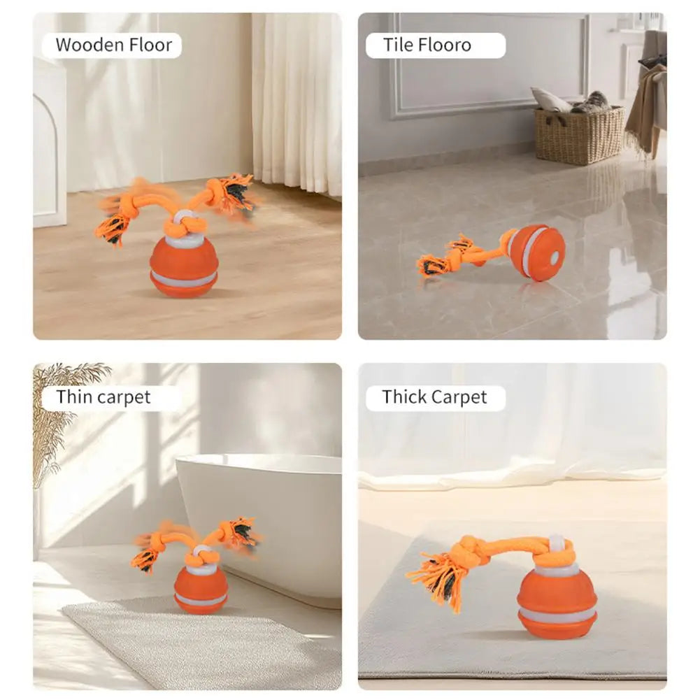 Interactive Dog Toy Ball with Rope Electronic Motion Activated Rolling Ball for Indoor Cat Dog Play Toys for Puppy Training Ball