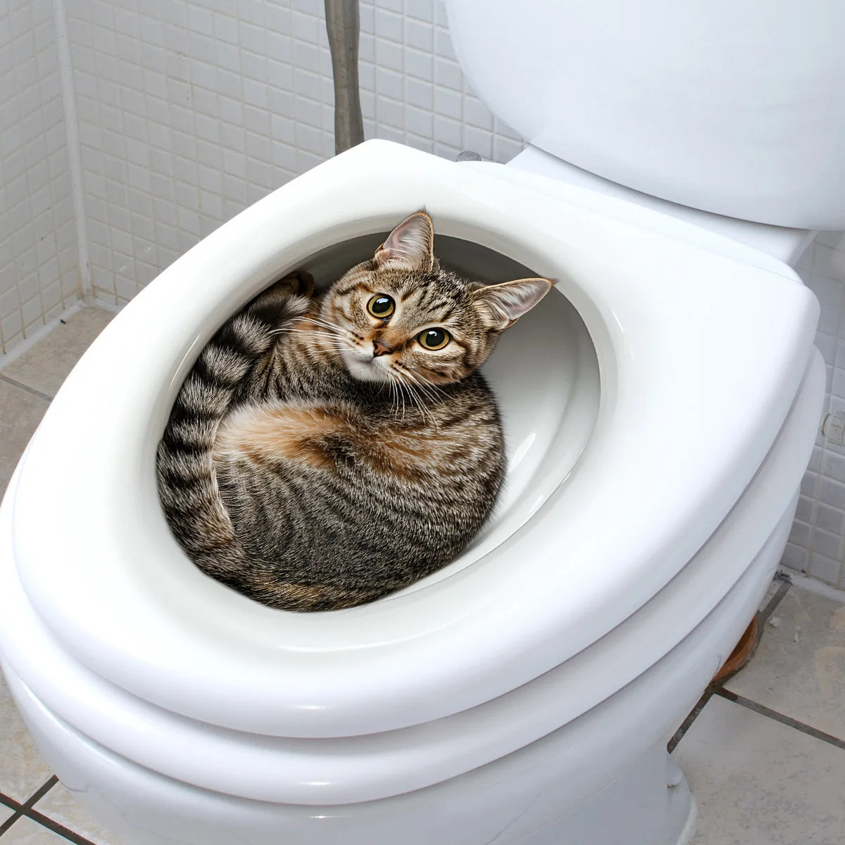 3D Funny Cat Toilet Sticker Bathroom Toilet Cover Sticker Wall Stickers Animal Wc Accessories For Home BathRoom Decoration
