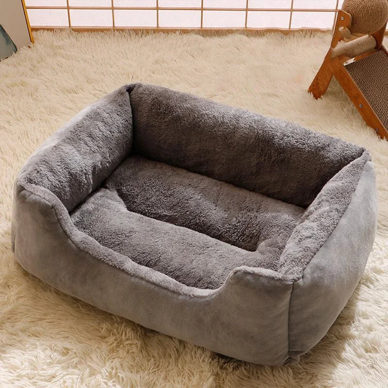 Cats Bed Dog Mat Beds Goods Pet Puppy Accessories All Products Kitten Cushions Things Accessory Houses Habitats House Supplies