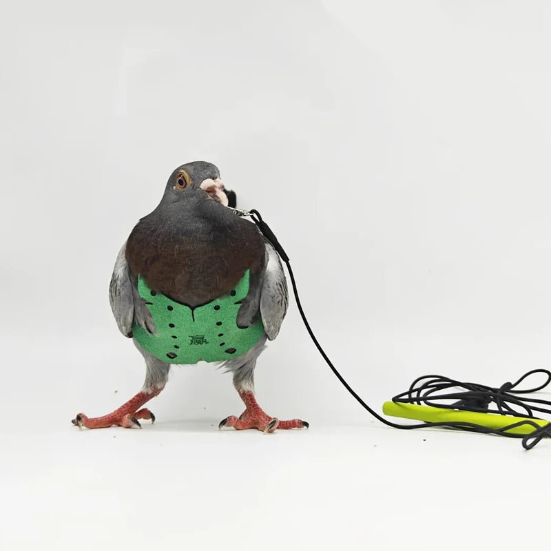 Bird Pet Product Parrot Pigeon Harness and Leash Flying Anti-bite Traction Rope Straps Bird Training Outdoor Carrying