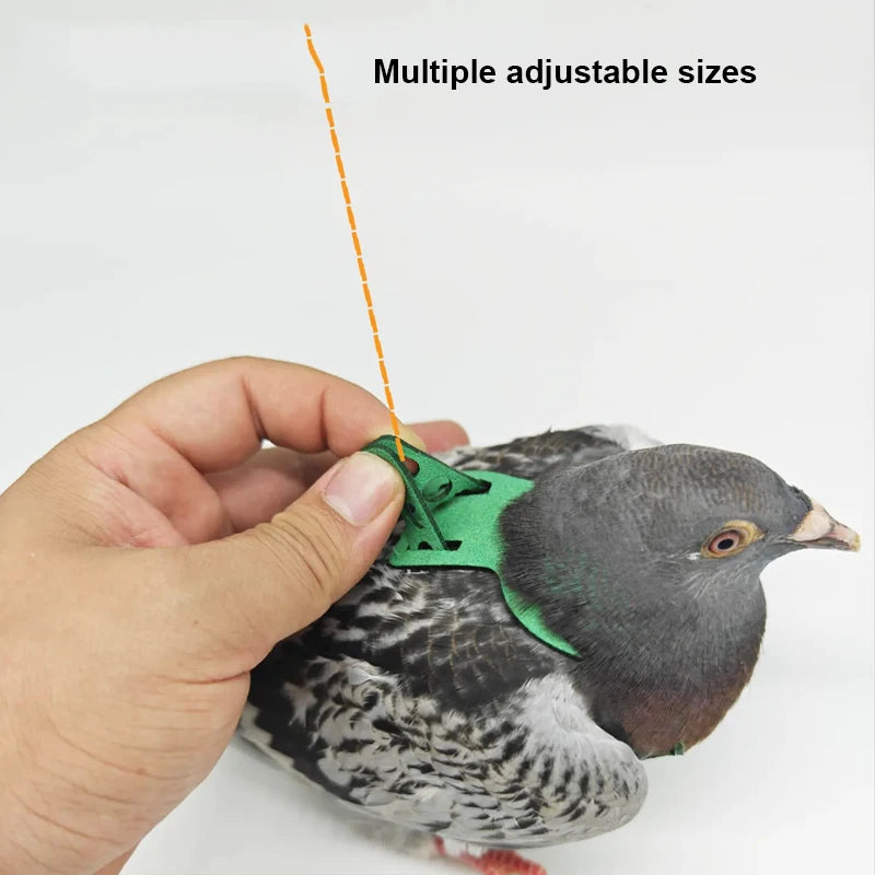 Bird Pet Product Parrot Pigeon Harness and Leash Flying Anti-bite Traction Rope Straps Bird Training Outdoor Carrying