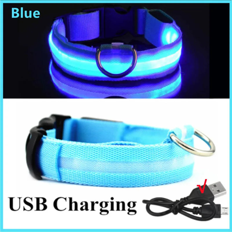 LED Luminous Collar Adjustable Glowing Dog Collar USB Rechargea  Flashing Anti-Lost/Avoid Car Accident Collar Dogs Pet Products