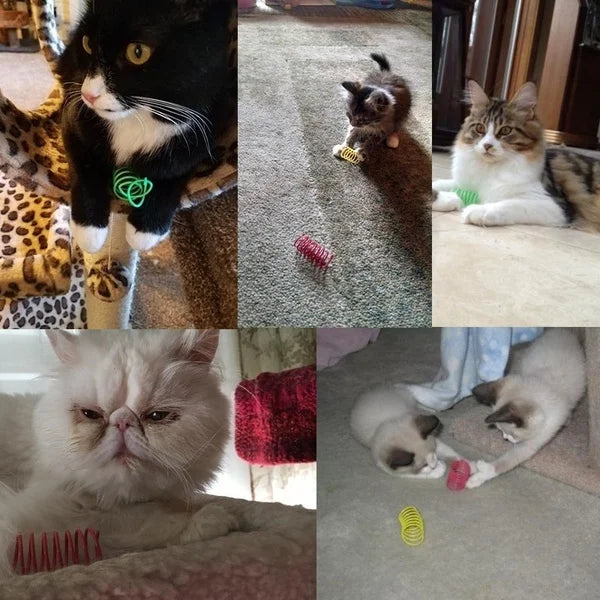 Plastic Colorful Spring Jumping Funny Cat Toys Cat Pet Supplies Kitten Coil Spiral Cat Toys Interactive Cat Pet Toy Pet Products