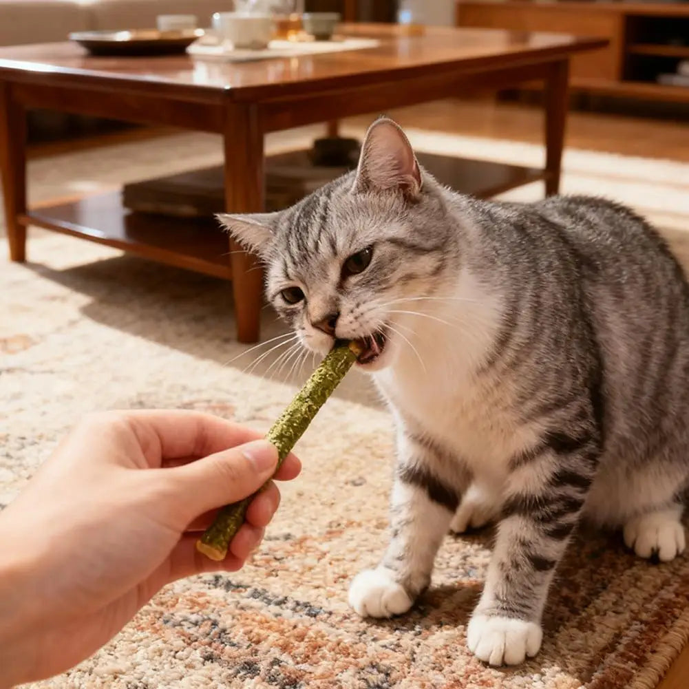 6pcs Natural Matatabi Cat Stick Mint Caught Bite Excited Rods Silvervine For Cat Teeth Cleaning Treating Pet Supply Cat Toys