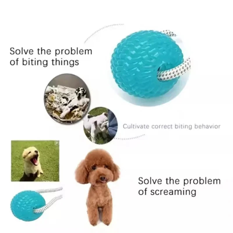 Dog Toy Ball Interactive Suction Cup Push TPR Ball Toys Molar Bite Toy Elastic Ropes Dog Tooth Cleaning Self Play Chewing Supply