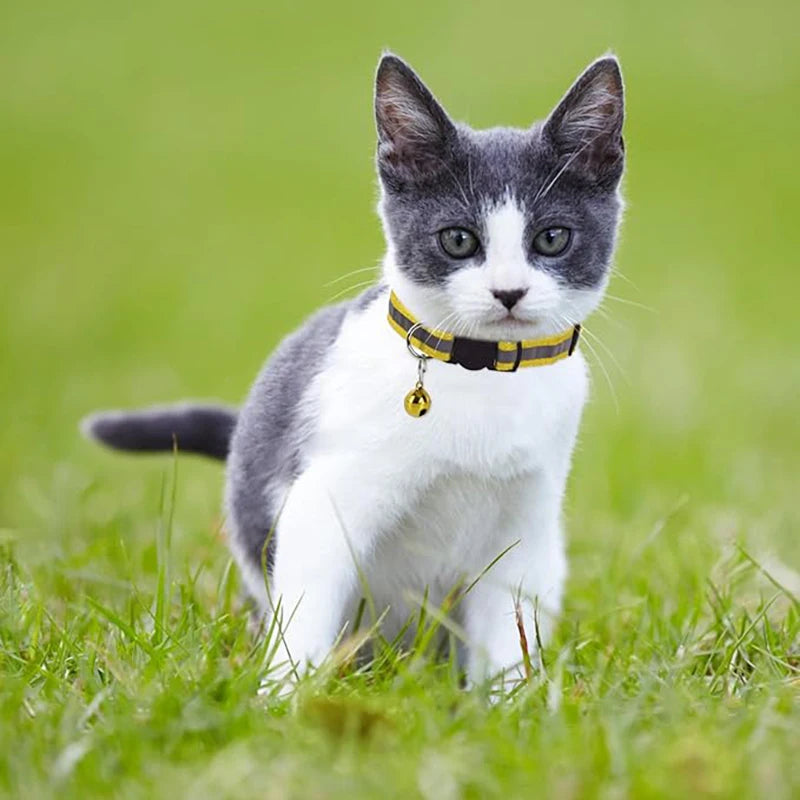 Adjustable Reflective Breakaway Cat Collar with Bell Safety Elastic Neck Ring Necklace Pet Products in Multiple Colors