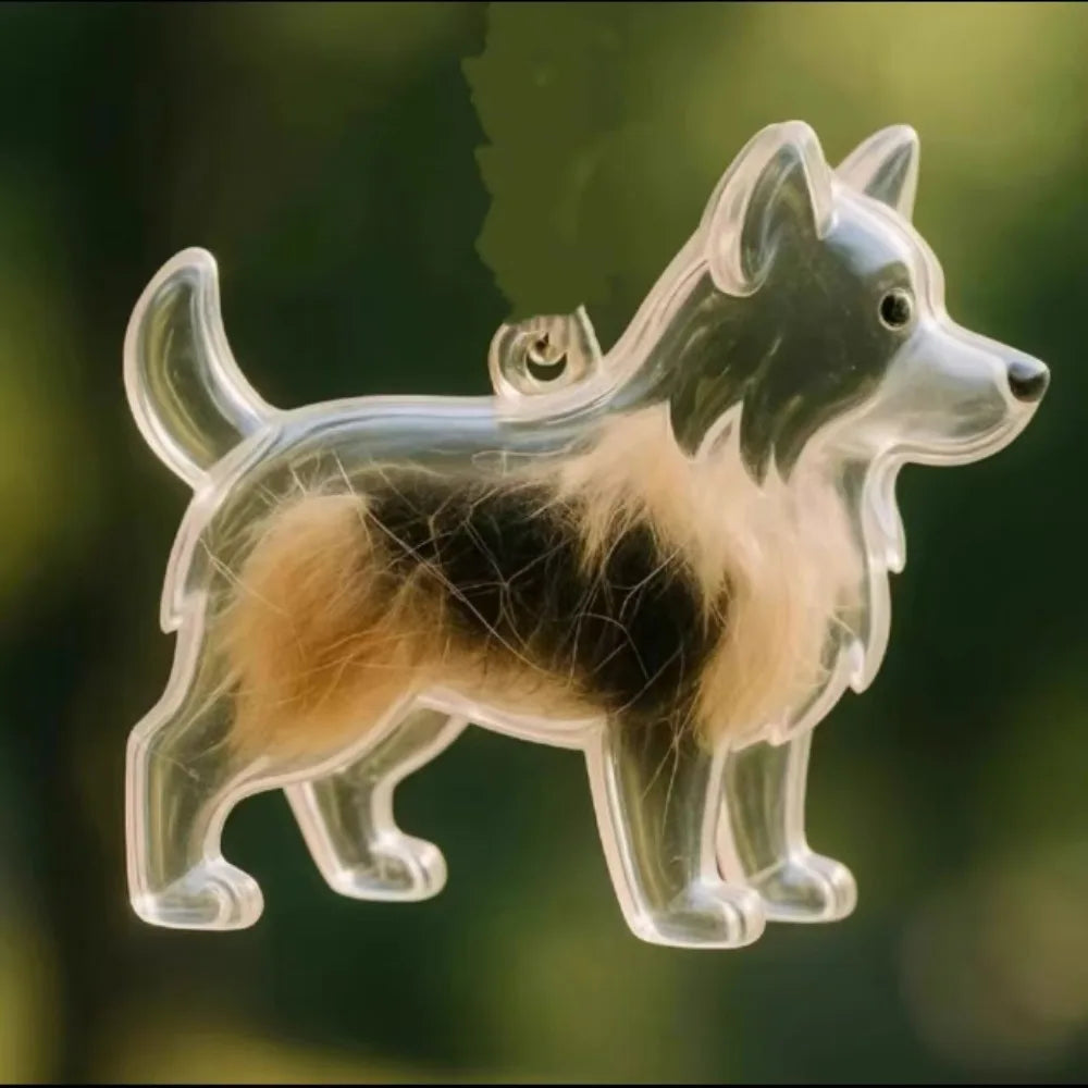 Transparent Dog Fur Storage Pendant Cute DIY Accessories Portable Souvenirs Keychain Fur Storage Capsule Pet Hair Container
