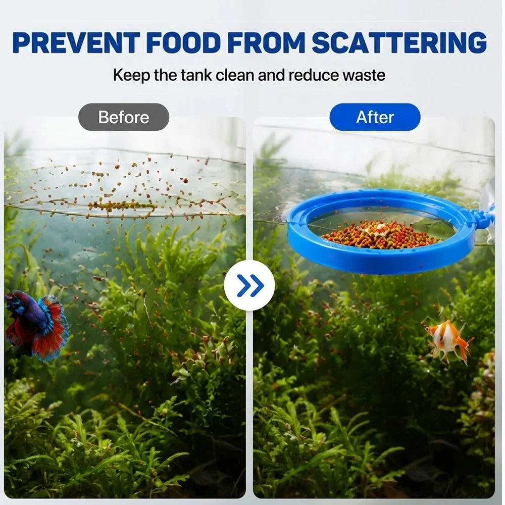 Betta Fish Food Floating Mini Pellets with Aquarium Feeding Ring Station Color Enhancer Tropical Fish Food Kit ZORILYNX