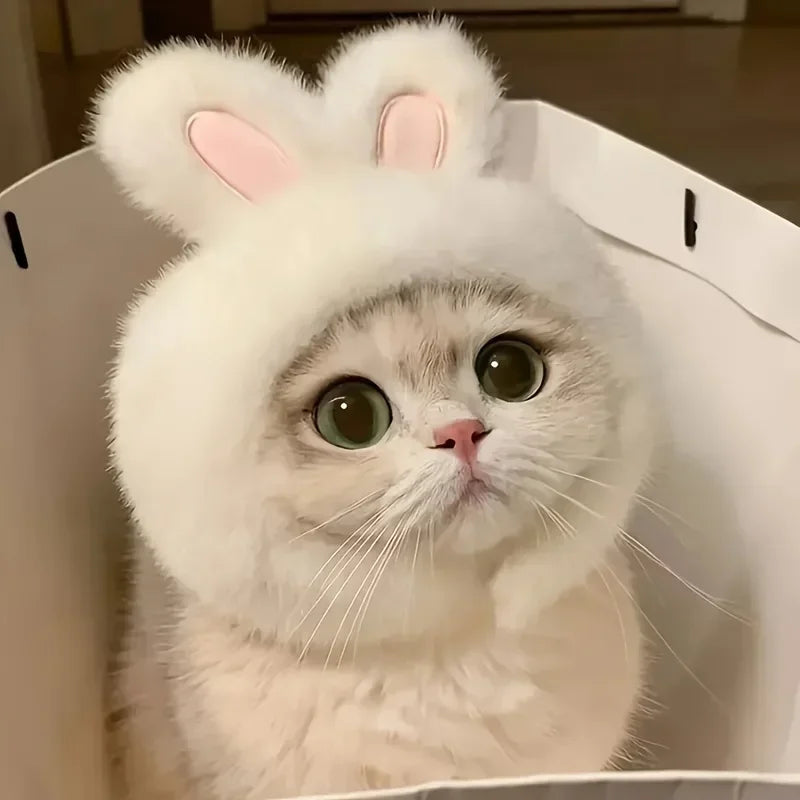 1Pc Bunny Ears Cat Hat, Polyester Knit Pet Headwear Costume, Stretchy Cap for Cats Small Dogs, Easter Birthday Photo Prop