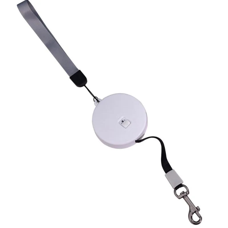 2M/3M Retractable Mini Dog Leash Automatic Flexible Dog Puppy Cat Traction Rope Belt Dog Leash for Small Medium Dogs Pet Product