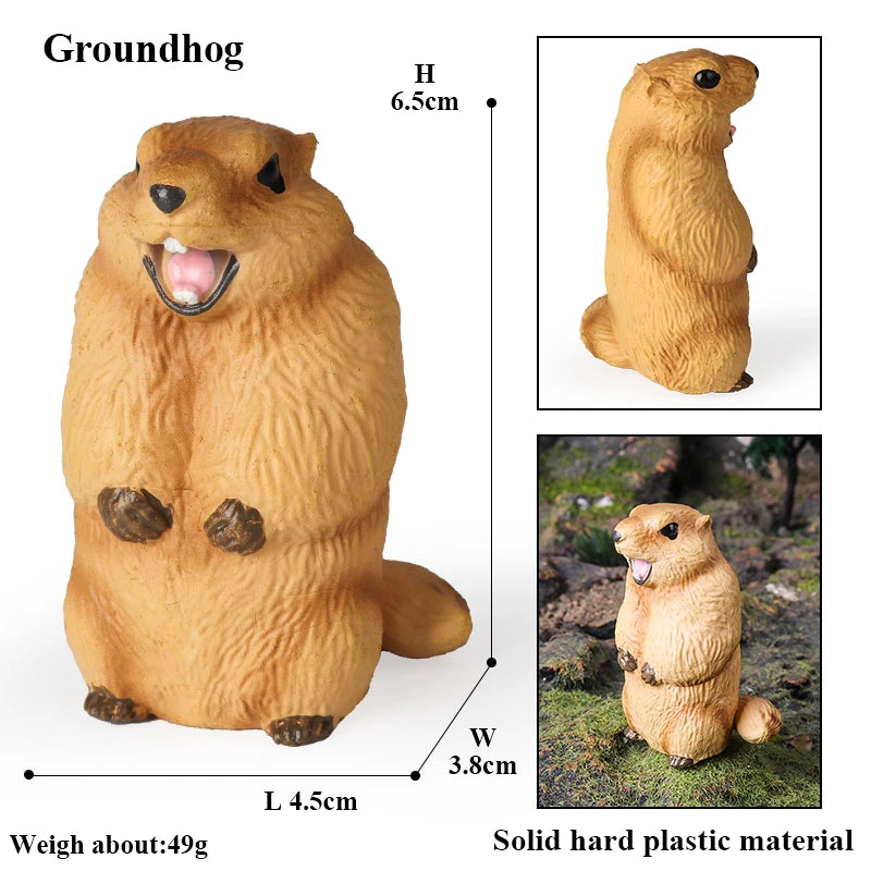 Oenux Cute Pet Model Frog Lizard Pig Hen Rabbit Shiba Inu Hamster Squirrel Otter Animals Figurine PVC Miniature Home Decor Kids