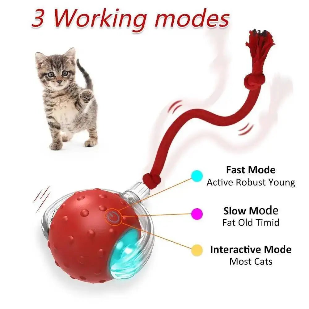 Interactive Cat Toy Ball with Bird Chirping Super Drive Cat Rolling Balls Motion Activated Sensor Pet Kittens Teaser Game Toys