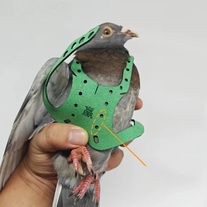 Bird Pet Product Parrot Pigeon Harness and Leash Flying Anti-bite Traction Rope Straps Bird Training Outdoor Carrying