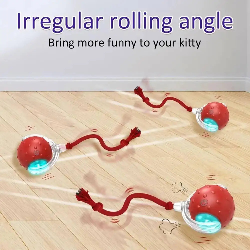 Interactive Cat Toy Ball with Bird Chirping Super Drive Cat Rolling Balls Motion Activated Sensor Pet Kittens Teaser Game Toys