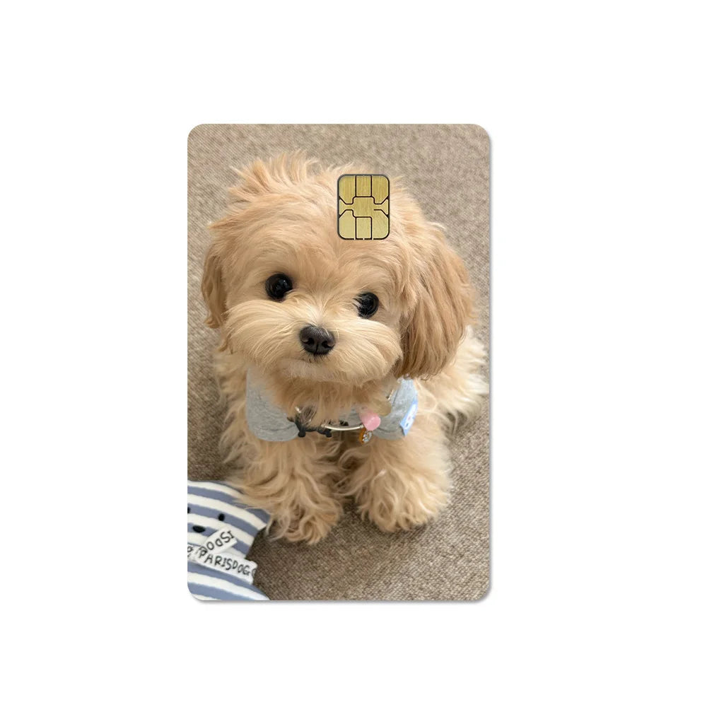 Cute Pet Puppy Kitten Lamb Credit Debit Card Sticker Bread Dog Bus Pass DIY Waterproof Small Chip Film Sticker Decoration Gift