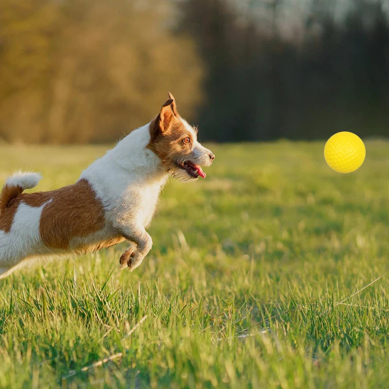 2~10pcs Durable Dog Chewing Squeak Toy Ball Outdoor Throwing Dog Recovery Training Pet Supplies Small Dog Tennis Play TMZ
