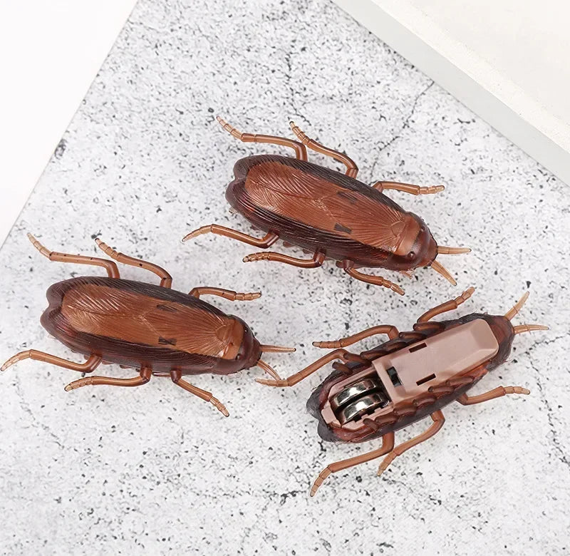 Funny Simulation of Cockroaches Pet Cat Dog Kitten Interactive Training Play Toy