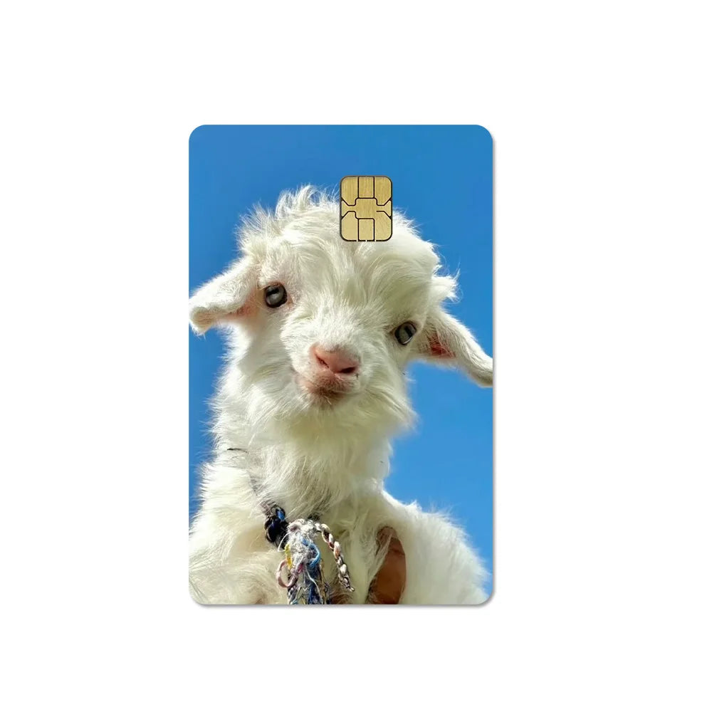 Cute Pet Puppy Kitten Lamb Credit Debit Card Sticker Bread Dog Bus Pass DIY Waterproof Small Chip Film Sticker Decoration Gift