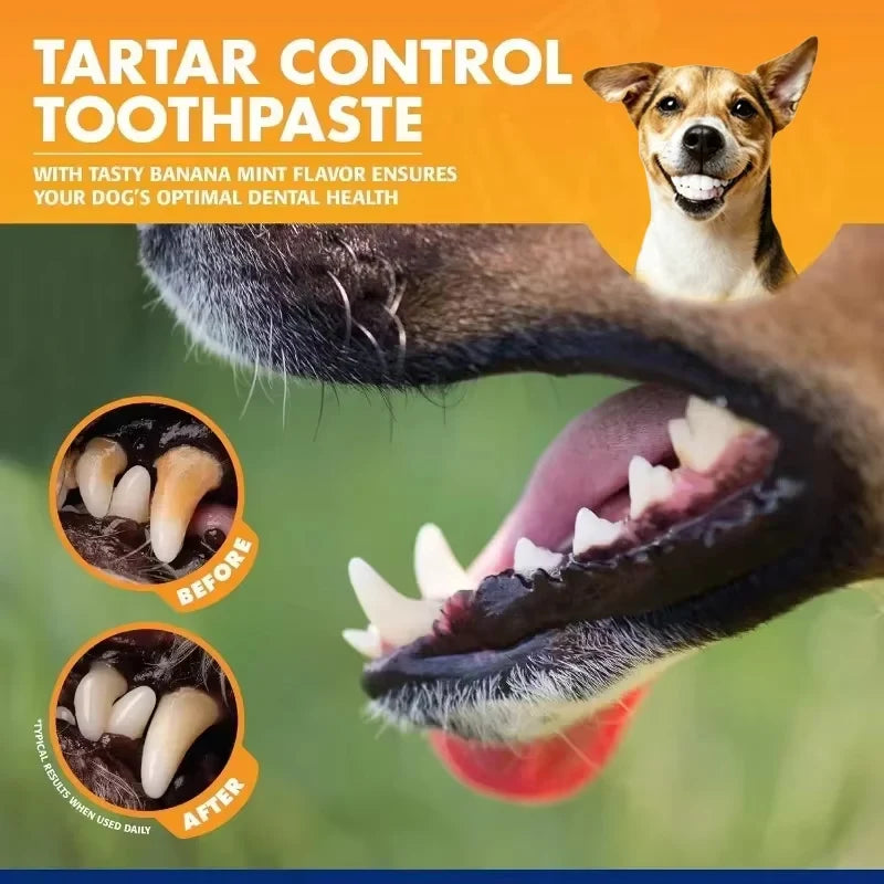 Universal Toothpaste Toothbrush Set Dog Gum Care Products Kit Pet Cleaning Tools Kit Reduces Plaque & Tartar Buildup for Pet