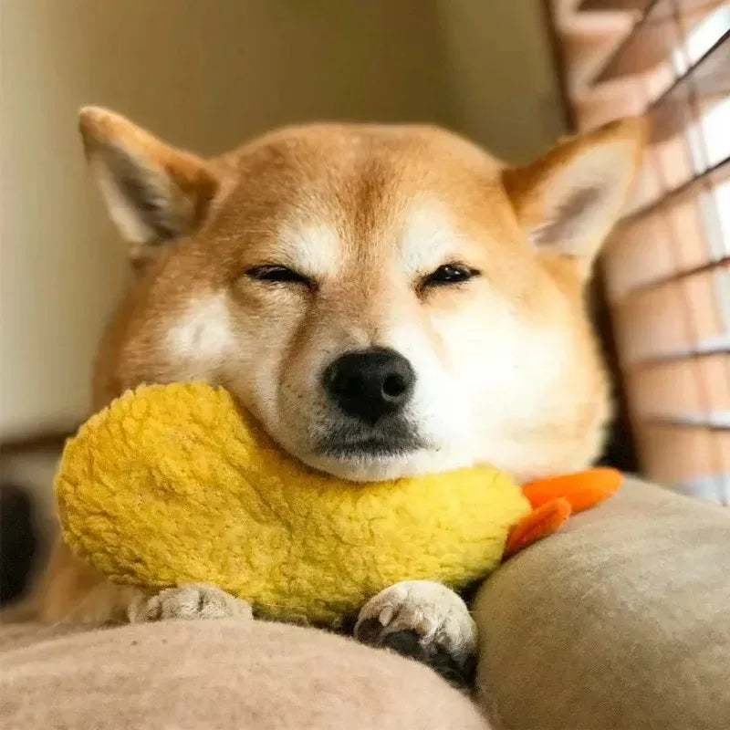 Fried Shrimp Tempura Dog Pet Chew Bite Squeaky Toy Cute Stuffed For Puppy Play Terrier Hond Shiba Yorkshire Corgi