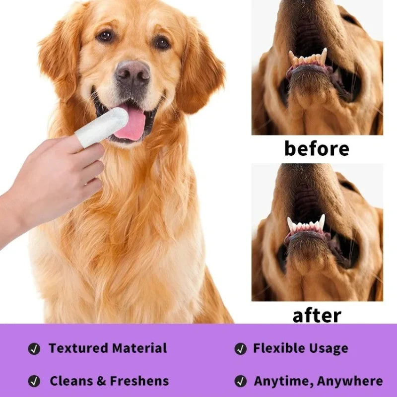 Pet cleaning products Disposable finger toothbrush Pet teeth cleaning finger covers wet wipes  Dog and cat oral cleaning