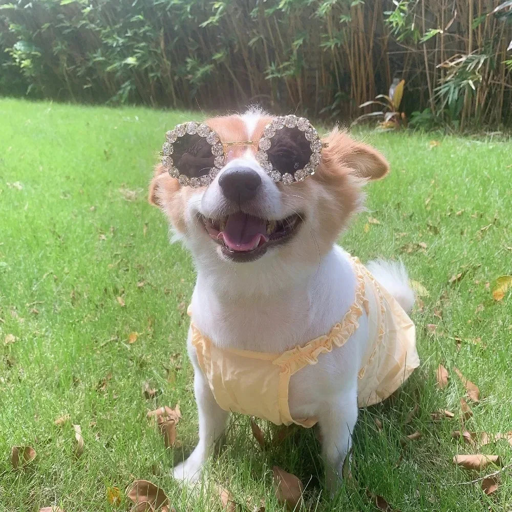 Pet Dog Glasses Rhinestone Sunglasses Cat Photography Decoration Fashion Sunglasses Accessories Pet Products Puppy Sunglasses