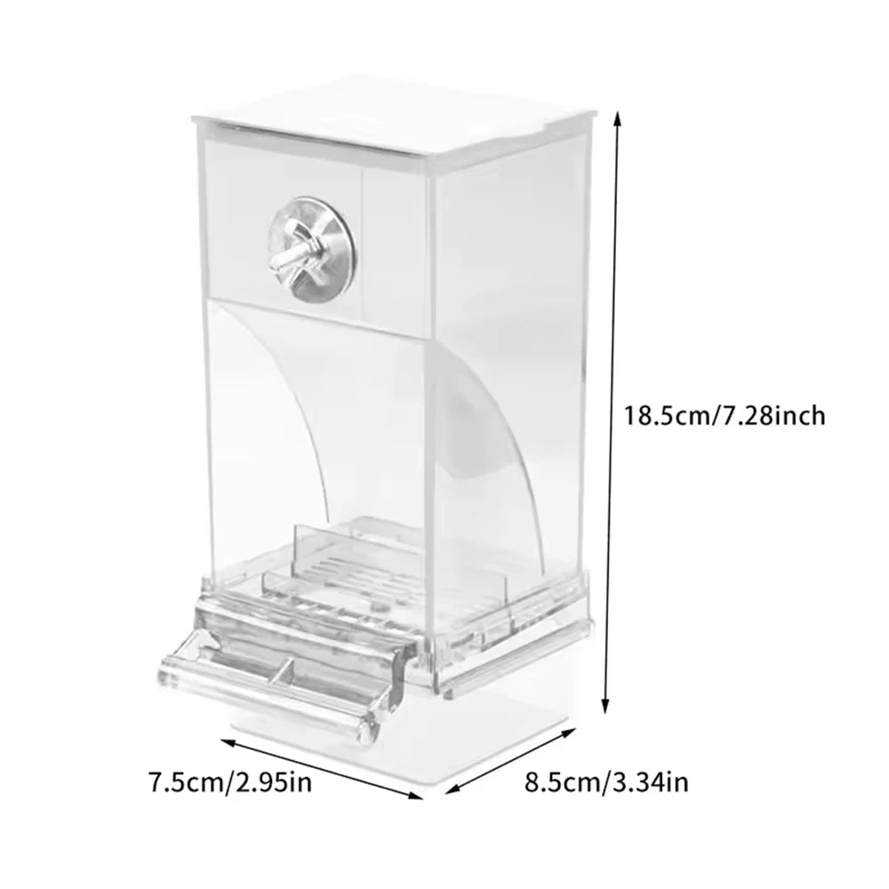 B-Parrot Feeder Anti-Spill Transparent Bird Food Box Clear Feeding Device for Parrots Durable Bird Feeding Box