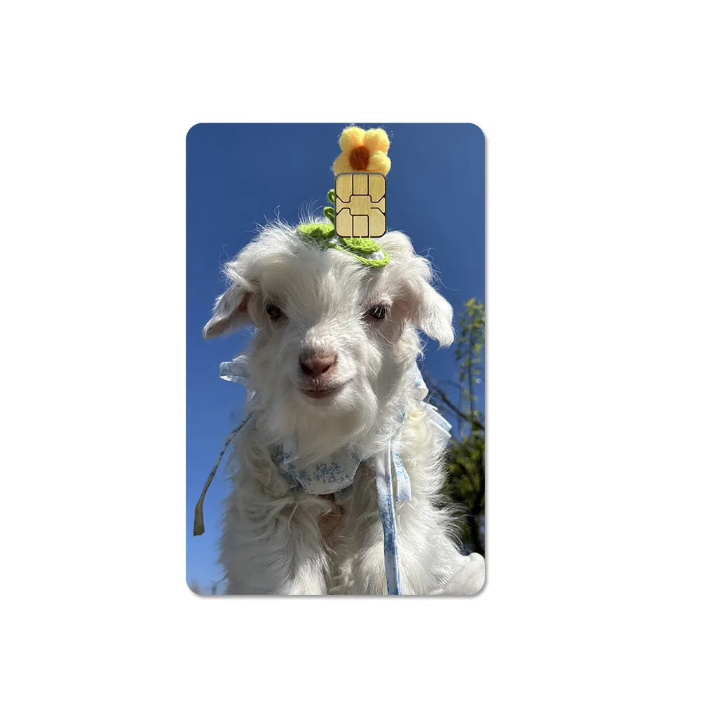 Cute Pet Puppy Kitten Lamb Credit Debit Card Sticker Bread Dog Bus Pass DIY Waterproof Small Chip Film Sticker Decoration Gift