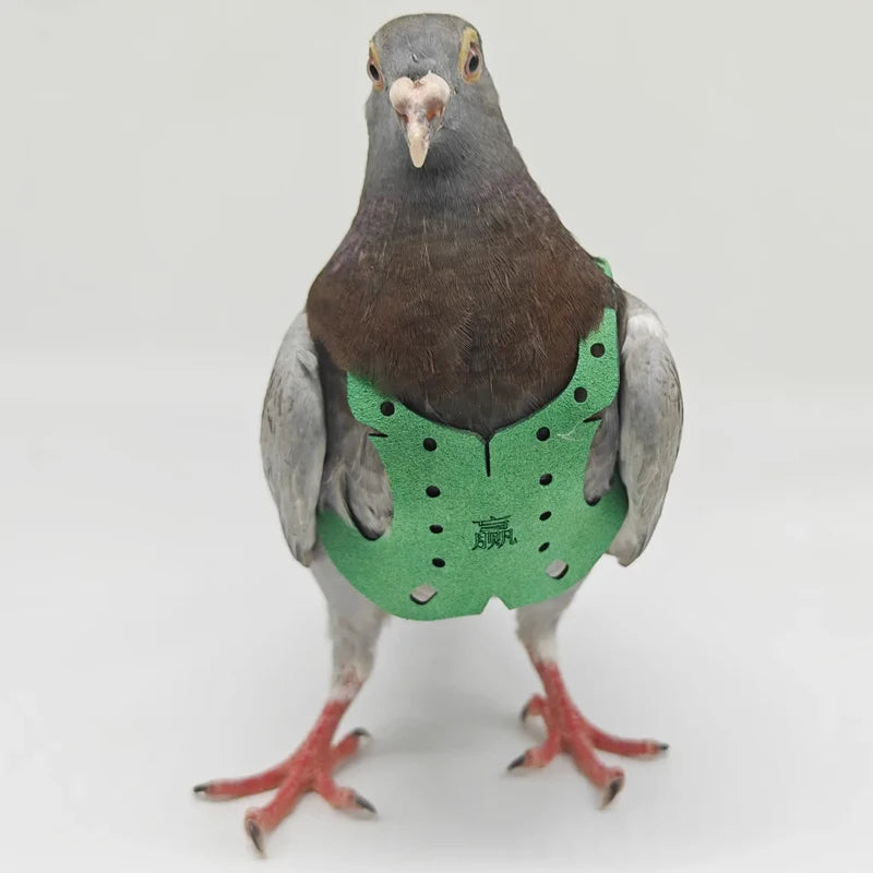 Bird Pet Product Parrot Pigeon Harness and Leash Flying Anti-bite Traction Rope Straps Bird Training Outdoor Carrying