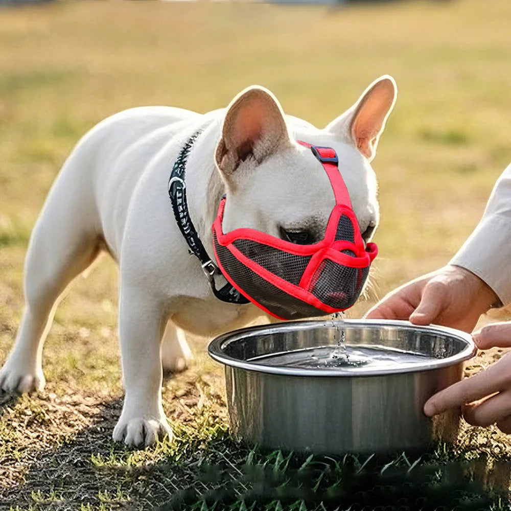 Short-Snouted Dog Muzzle Bulldogs Breathable Anti-Biting Walking Drinkable Short-Mouthed Dog Snout Cover Pet Products Shar Pei