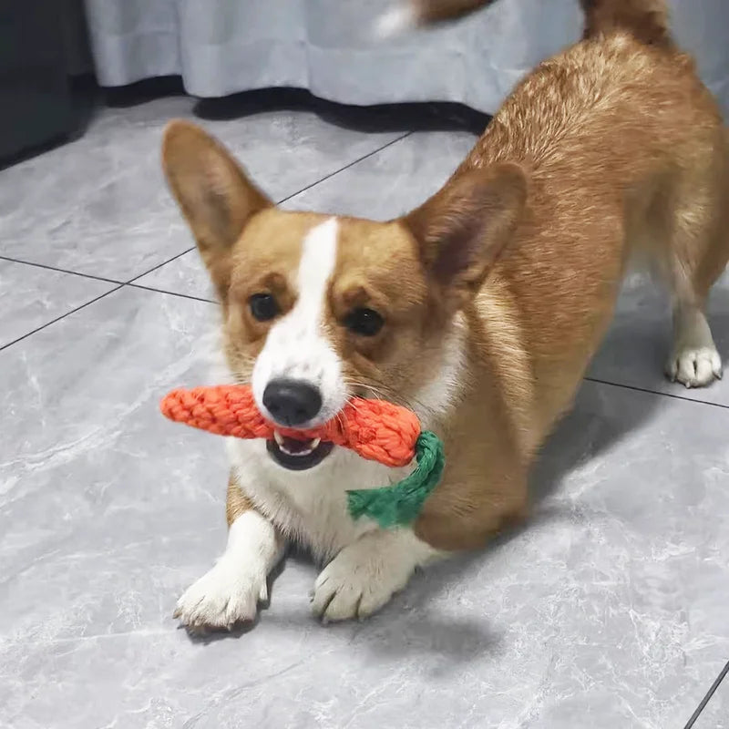 Durable Carrot Rope Knot Dog Chew Toys Bite Proof Puppy Molar Toys Interactive Tug Games Self Entertaining Play Toys For All Dog
