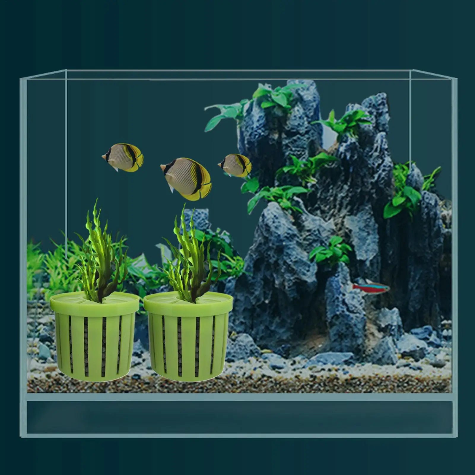 4pcs Pet Fish Tank Decorations Accessories Aquarium Plant Stand Stable Fish Tank Net Cup Hydroponic Plant Storage Fixed Basket