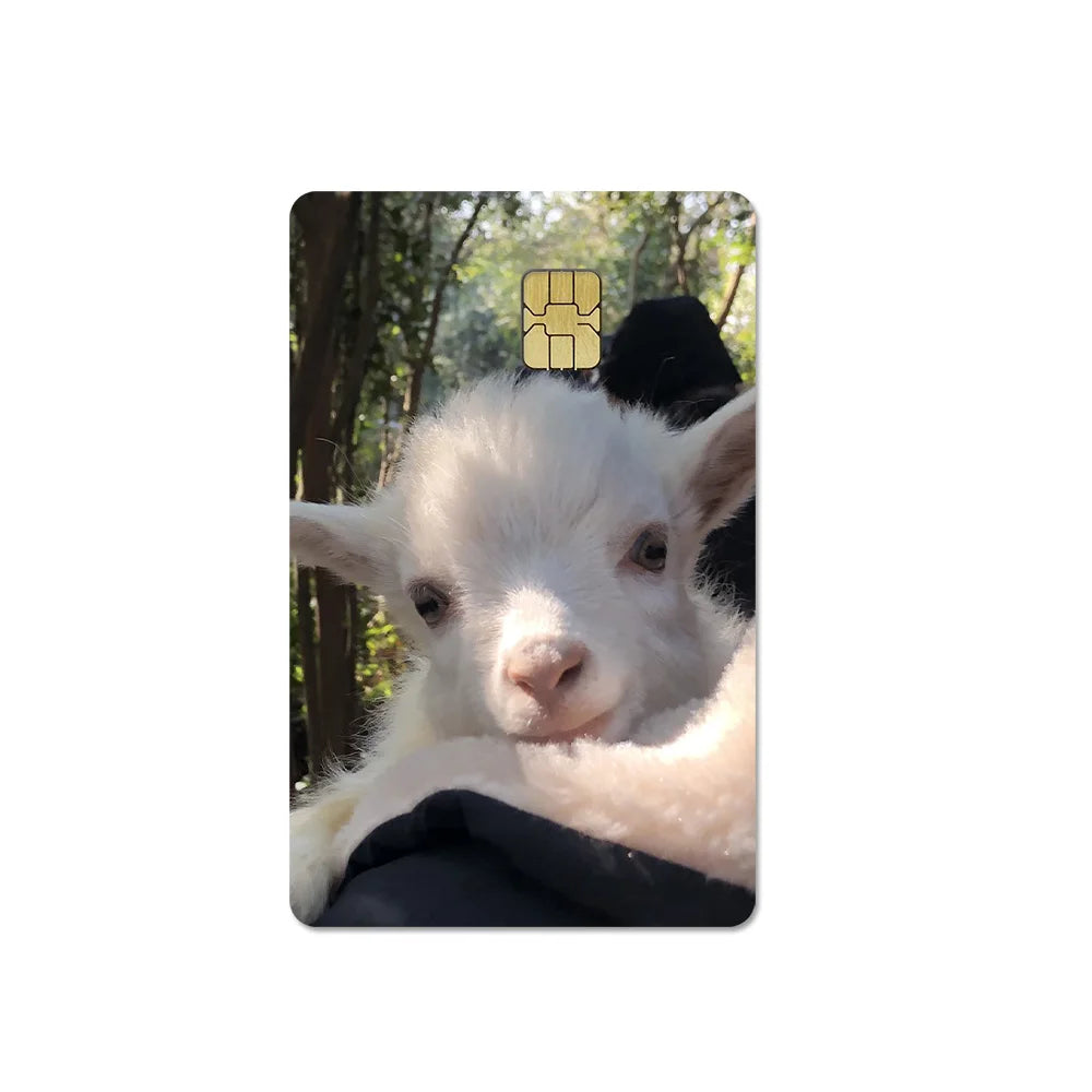 Cute Pet Puppy Kitten Lamb Credit Debit Card Sticker Bread Dog Bus Pass DIY Waterproof Small Chip Film Sticker Decoration Gift