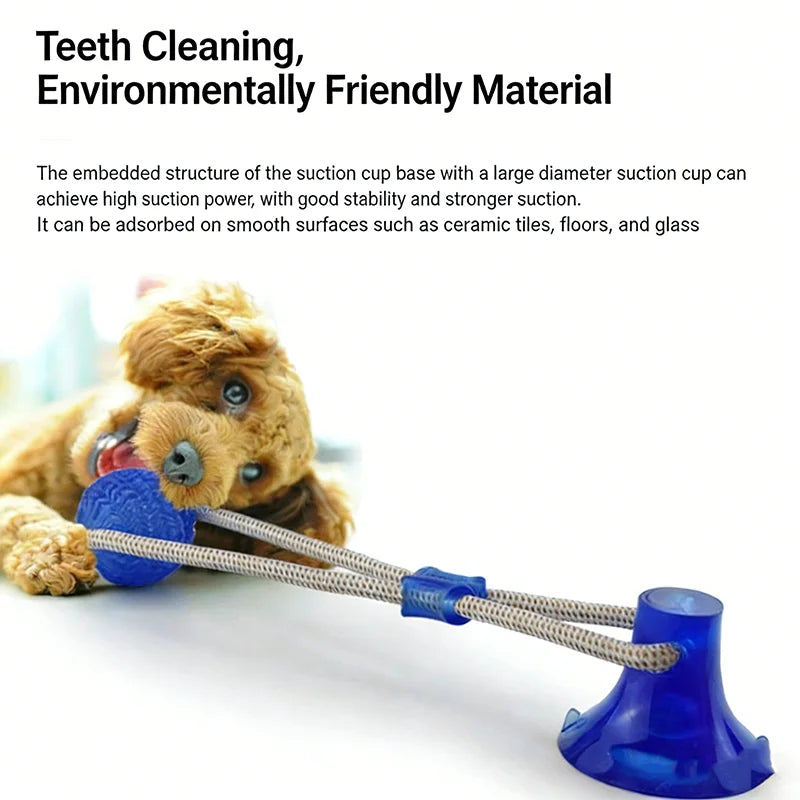 Dog Toy Ball Interactive Suction Cup Push TPR Ball Toys Molar Bite Toy Elastic Ropes Dog Tooth Cleaning Self Play Chewing Supply